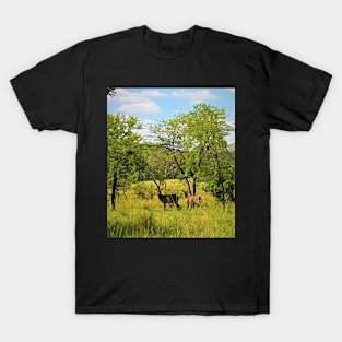 Waterbuck Pair T-Shirt